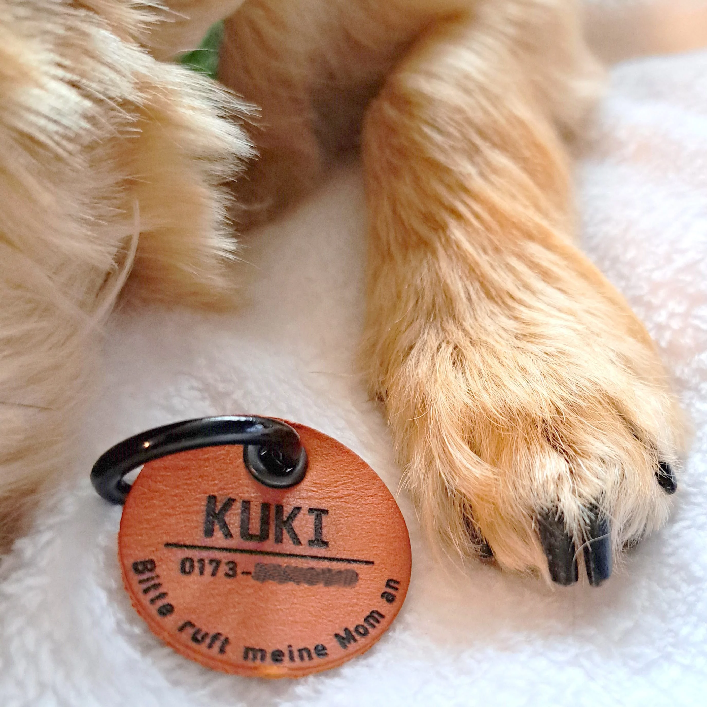 Hundepfote mit personalisierter Hundemarke Name Kuki