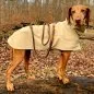 Preview: Hund mit Hundeleine aus Tau espresso braun, Leder cognac braun mit Flechtungen und Beschlägen edelstahl und Regenmantel im Wald