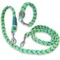 Preview: Halsband und Leine aus geflochtenem Paracord in den Farben leaf grün / alphine grün / white kelly green spiral. Beschläge Farbe nickel