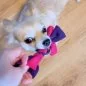 Preview: Hund mit Zergel Zerrspielzeug Hundespielzeug aus Fleece lila und pink