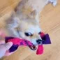 Preview: Hund mit Zergel Zerrspielzeug Hundespielzeug aus Fleece lila und pink