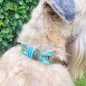 Preview: Irish Soft Coated Wheaten Terrier (Hund) mit Zugstop-Halsband aus Tau / Seil Farbe bombay blau / holy guacamole und Leder Farbe olive. Beschläge messing antik. Preview: Irish Soft Coated Wheaten Terrier (Hund) mit Zugstop-Halsband aus Tau / Seil Farbe bombay blau / holy guacamole und Leder Farbe olive. Beschläge messing antik.