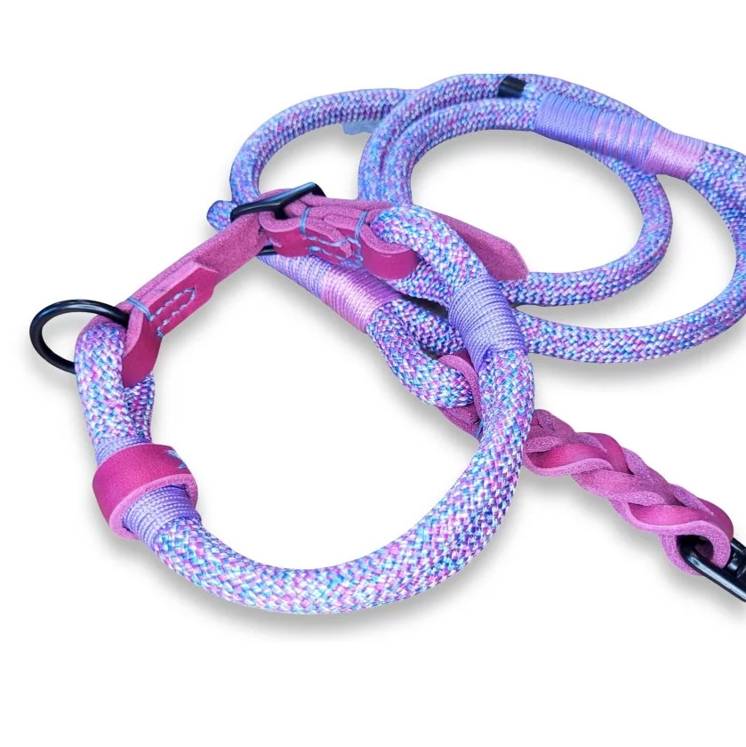 Leinen-Halsband-Set Tau und Leder, little pony und beere, Beschläge schwarz, mit Schnalle