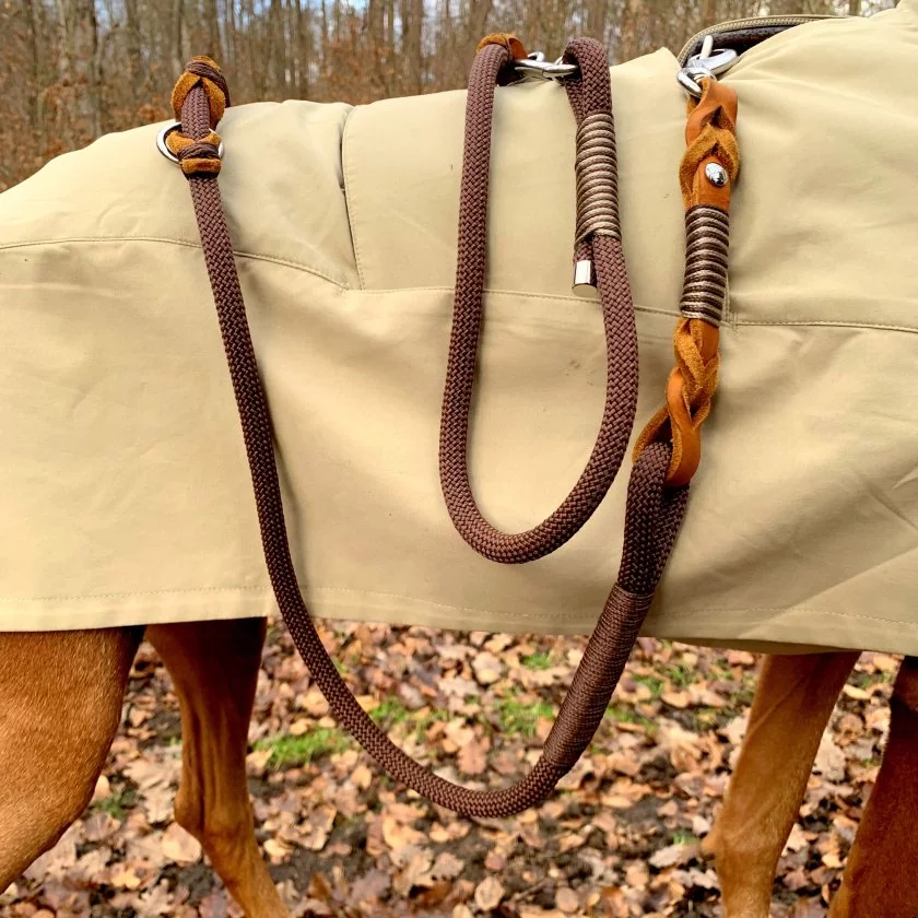 Hund mit Hundeleine aus Tau espresso braun, Leder cognac braun mit Flechtungen und Beschlägen edelstahl und Regenmantel im Wald