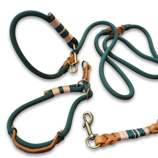 Leinen-Halsband-Set aus Tau und Leder, mit Name "Paparazzi", Zugstop, dark grün und cognac braun