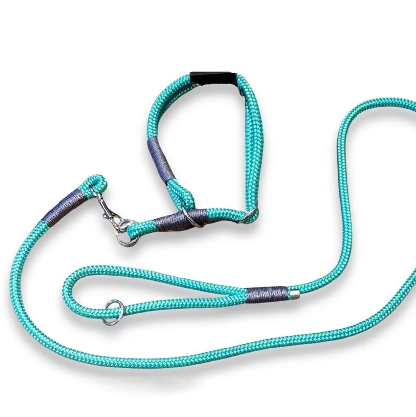 Leinen-Halsband-Set Tau, minze Leinen-Halsband-Set Tau, minze