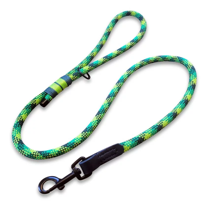 Leine Tau und Leder, frog Leine Tau und Leder, frog