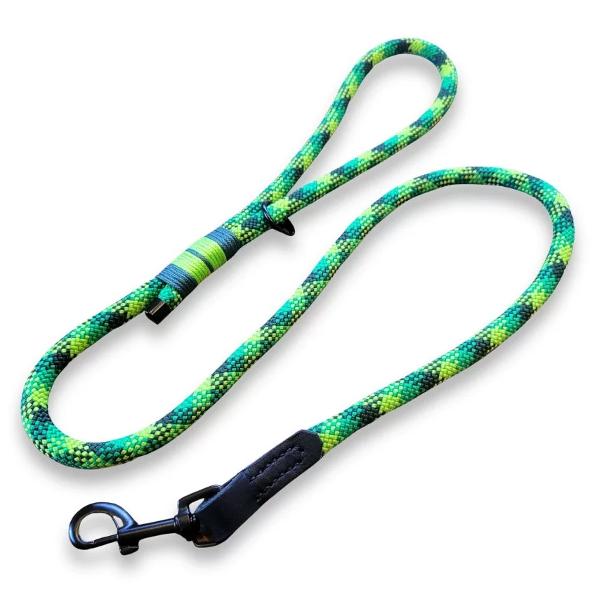 Leine Tau und Leder, frog Leine Tau und Leder, frog