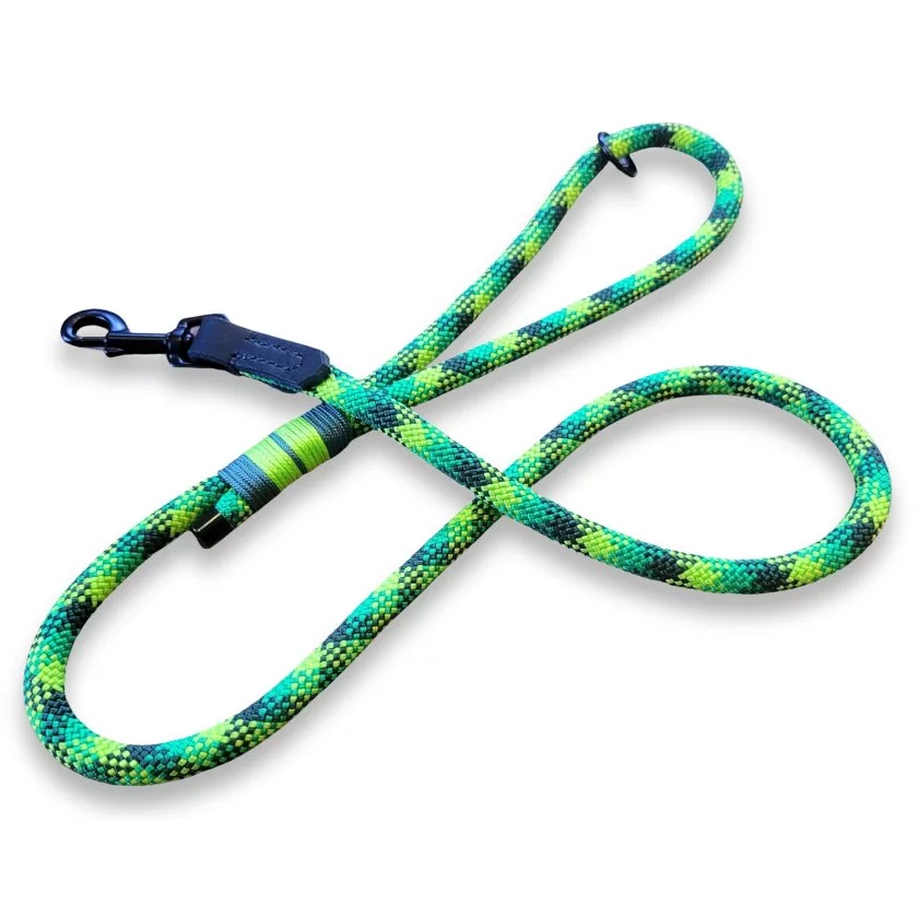 Leine Tau und Leder, frog Leine Tau und Leder, frog