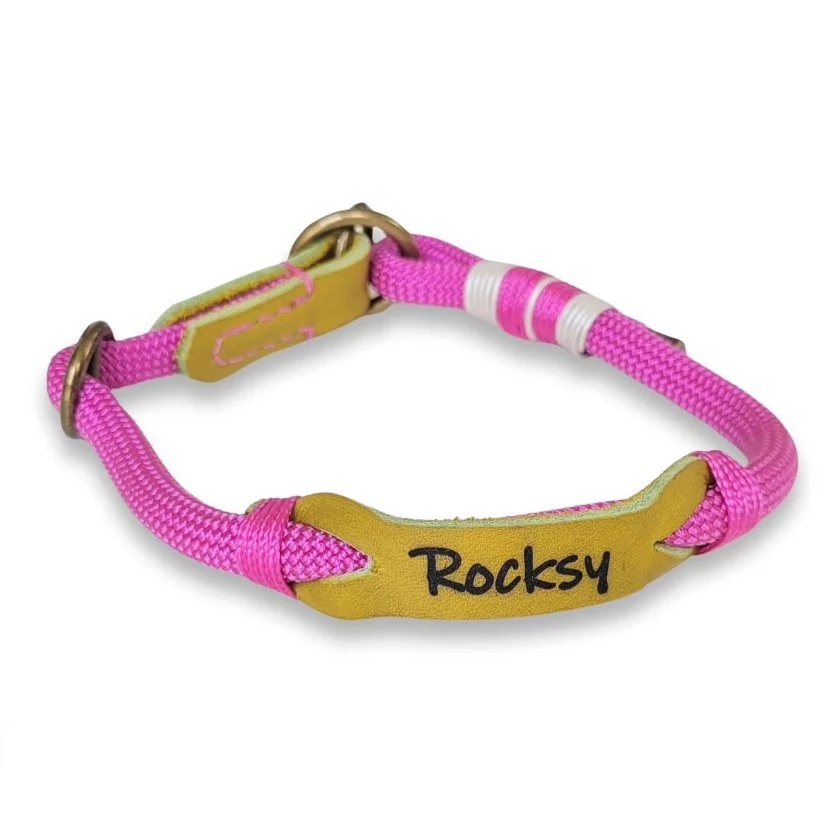 Zugstop Halsband aus Tau und Leder, mit Name Rocksy, passion rosa und lime grün Zugstop Halsband aus Tau und Leder, mit Name Rocksy, passion rosa und lime grün
