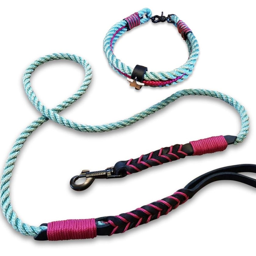 Leinen-Halsband-Set Tau und Leder, sea grün, kranichbeere mit Stern Applikation