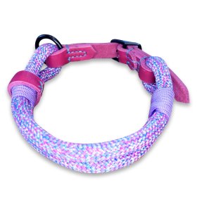 Halsband Tau und Leder mit Schnalle, little pony