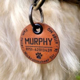 Mobile Preview: Hund mit Hundemarke aus Leder, personalisiert, Irish Soft Coated Wheaten Terrier